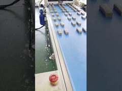 Machine d'extrudeuse de barre de date de protéine de Papa High Speed Multi Line